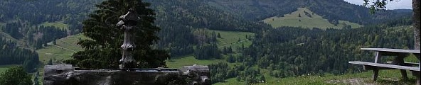 Haus kaufen in Bad Dürrheim, Haus kaufen in Villingen-Schwenningen, Doppelhaushälfte, Bauernhaus kaufen, Villa kaufen im Schwarzwald, Schwarzwaldhaus