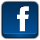 Social-Network-Facebook-icon